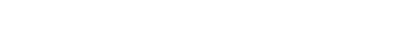 使い方はかんたん！ただ靴に差し込むだけ