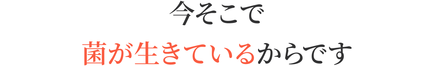 今そこで菌が生きているからです