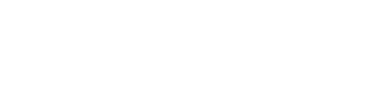 使い方は簡単！ただ靴に差し込むだけ