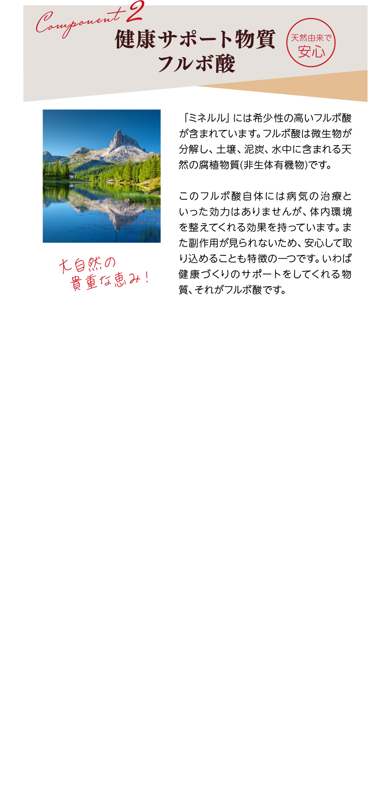 健康サポート物質フルボ酸：「ミネルル」には希少性の高いフルボ酸が含まれています。フルボ酸は微生物が分解し、土壌、泥炭、水中に含まれる天然の腐植物質(非生体有機物)です。このフルボ酸自体には病気の治療といった効力はありませんが、体内環境を整えてくれる効果を持っています。また副作用が見られないため、安心して取り込めることも特徴の一つです。いわば健康づくりのサポートをしてくれる物質、それがフルボ酸です。